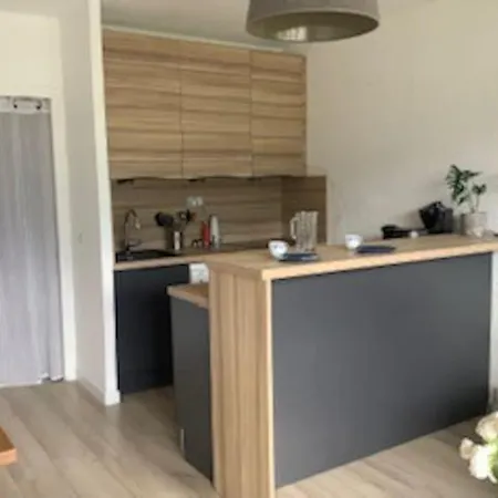 Apartman Duplex 6 Couchages Dont 2 Enfants Vue Montagne *